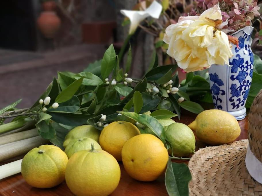 Los Matos, Canarian House In Valleseco Zewnętrze zdjęcie