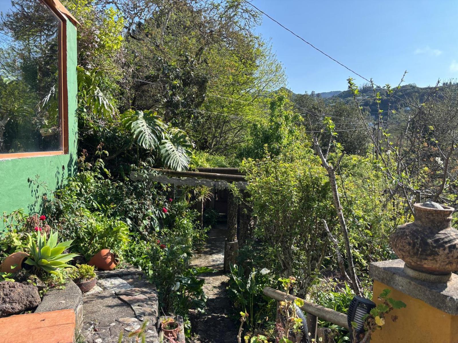 Los Matos, Canarian House In Valleseco Zewnętrze zdjęcie